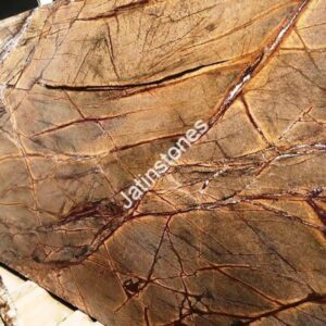 Rain Forest Brown